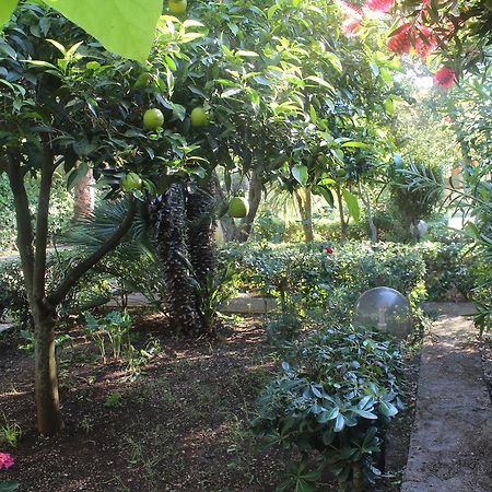Residence Giardino 维耶斯泰 外观 照片